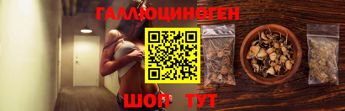 Россия  Галлюциногенные грибы мицелий  Вход с VPN  Галлюциногенные грибы Magic Shrooms 